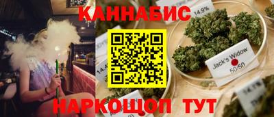 гидра Будённовск