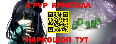 гидра Будённовск