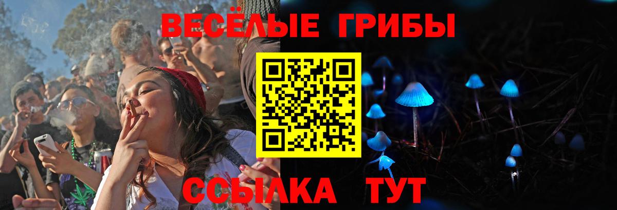 Галлюциногенные грибы мицелий  Вход с VPN  Канск 